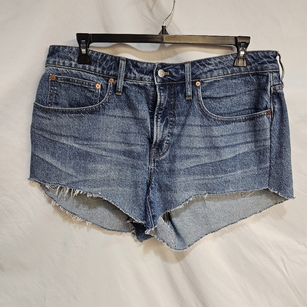 Madewell Women's The Curvy Perfect Vintage Shorts Raw Hem Denim Dize 14W